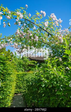 France, Yvoire, le jardin des cinq sens Banque D'Images