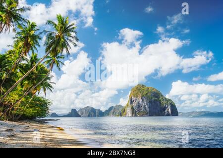 Palmiers pendu Las Cabanas plage à El Nido, île de Palawan, Philippines Banque D'Images