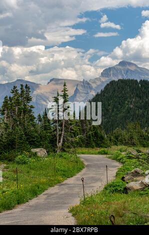 Parc national Glacier, Montana, États-Unis en été. Vue vers le sud-est depuis un sentier à Logan Pass, orientation verticale. Banque D'Images