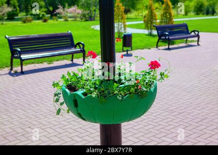 pot de fleurs à la rue piétonne, bancs dans le parc urbain Banque D'Images