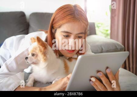 Les femmes d'affaires asiatiques et un chiot Chihuahua sont dans la chambre en regardant les nouvelles sur une tablette - travail de la maison Banque D'Images
