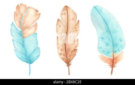 Plumes d'aquarelle dessinées à la main. Ensemble de plumes colorées. Banque D'Images