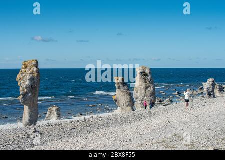 Langhammars sur l'île de Fårö, dans la mer Baltique. Langhammars est célèbre pour sa collection de piles de calcaire. Banque D'Images