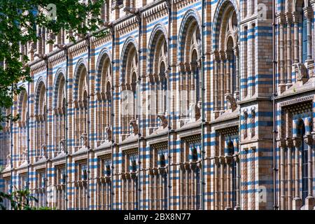 Royaume-Uni, Angleterre, Londres, South Kensington. La façade en terre cuite du musée d'Histoire naturelle d'Alfred Waterhouse Banque D'Images