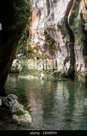 Ruisseau dans la gorge calcaire, Patuna Chasm, Wairarapa, Île du Nord, Nouvelle-Zélande Banque D'Images