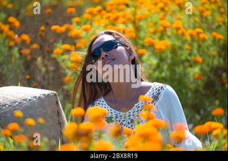 Portrait en gros plan bonne et belle jeune femme asiatique se détendant profiter de la beauté fraîche de magnifiques fleurs orange marigold champ dans le voyage et les LSS Banque D'Images