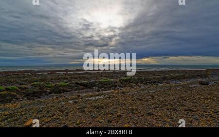 Vue sur le Firth of Forth vers North Berwick depuis St Monan's sur la côte de Fife, lors d'une soirée d'hiver humide avec le coucher de soleil jaune pâle. Banque D'Images