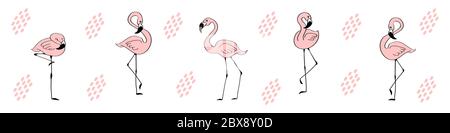 Bannière Web avec de jolis flamants dessinés à la main. Arrière-plan du profil des réseaux sociaux. Oiseaux de Doodle sur fond blanc. Illustration vectorielle plate. Illustration de Vecteur