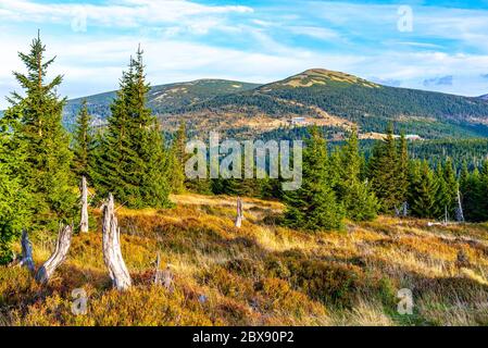 Paysage forestier vert avec montagnes et huttes de montagne Maly Sisak, montagnes Giant, Krkonose, République tchèque. Banque D'Images