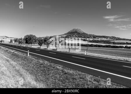 Route asphaltée dans un paysage stérile avec arbres le jour d'automne ensoleillé. Image en noir et blanc. Banque D'Images