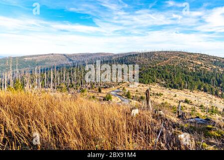 Forêt ravagée à l'origine de l'infestation du coléoptère d'écorce. Parc national de Sumava et forêt bavaroise, République tchèque et Allemagne. Vue de Tristolicnik, Dreisesselberg, à Plechy, Plockenstein. Banque D'Images