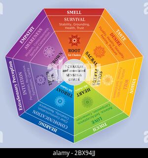 7 Chakras carte de couleurs avec les Mandalas, les sens et les objectifs Illustration de Vecteur
