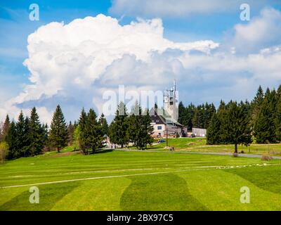 Pré fraîchement moudue dans les montagnes de Jizera près de la cabane de Kralovka et de la tour de guet, République tchèque. Banque D'Images