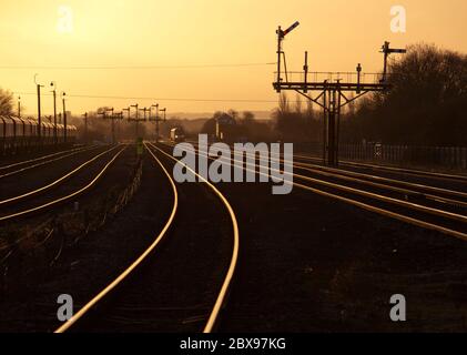 Premier Transennine Express Siemens classe 185 diesel train 185128 passant le grand signal de la patte de sémaphore à Barnetby, Lincs, Glinting au coucher du soleil Banque D'Images