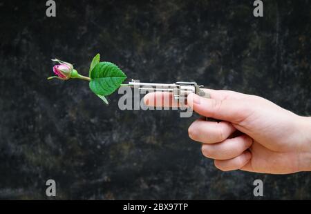 Main femelle tenant un revolver miniature avec une rose rouge placé dans le canon contre un fond de grunge foncé. Arrêter la violence des armes à feu. Banque D'Images