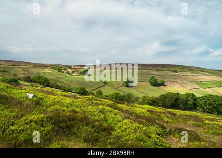 North York Maures avec des landes proéminentes, des arbres, des champs, de la bruyère et des herbes sous le bleu, ciel nuageux au printemps à Glaisdale, Yorkshire, Royaume-Uni. Banque D'Images