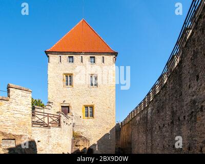 Château gothique médiéval de Kokorin, zone protégée de Kokorinsko, République tchèque. Banque D'Images