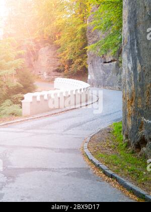 La serpentine étroite de la route asphaltée dans la forêt. Banque D'Images