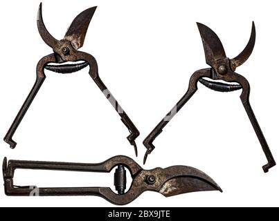 Gros plan d'un vieux sécateur rouillé isolé sur fond blanc, ouvert et fermé Banque D'Images