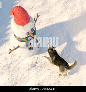 husky près de la vue de dessus du bonhomme de neige, illustration 3d Banque D'Images