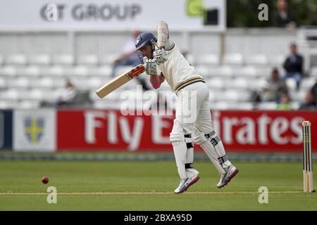 CHESTER LE STREET, ANGLETERRE - Kane Williamson du Yorkshire lors du match de championnat du comté entre Durham et Yorkshire à l'Emirates Riverside, Chester le Street, comté de Durham, dimanche 4 mai 2014 (Credit: Mark Fletcher | MI News) Banque D'Images