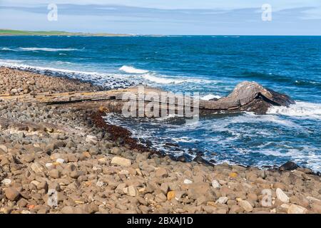 Formation de roches ignées repliées à Greymaare Rocks, dans la baie d'Embleton, Northumberland, Angleterre Banque D'Images