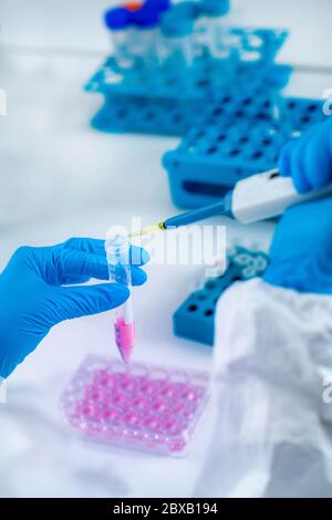 Recherche et développement du vaccin contre le coronavirus Banque D'Images