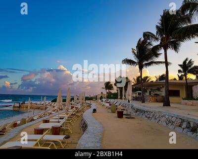 Palmiers soufflés par le vent avec un beau coucher de soleil en arrière-plan à Cancun, Mexique. Banque D'Images