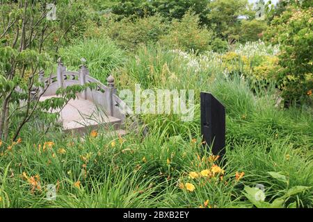Parc tropical et jardin du Mondo Verde à Landgraaf, aux pays-Bas Banque D'Images