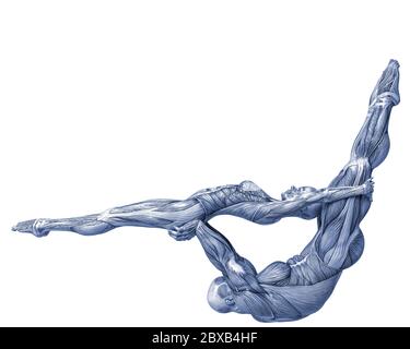 Couple de muscle man and woman yoga anatomie dans un fond blanc va mettre un peu de créativité dans le vôtre capteur creations Banque D'Images