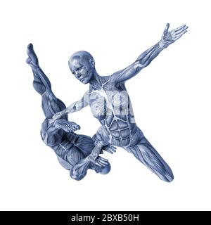 Couple de muscle man and woman yoga anatomie dans un fond blanc va mettre un peu de créativité dans le vôtre capteur creations Banque D'Images