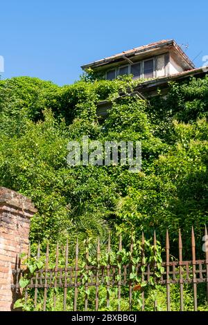 Ancienne maison abandonnée sur une colline derrière une clôture en fer rouillé avec des épaissis de plantes. Look vertical spectaculaire Banque D'Images