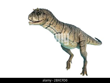 carnotaurus sastrei chasse dans un fond blanc. Ce carnotaurus sastrei dans le chemin de coupure est très utile pour les créations de conception graphique, 3d Ill Banque D'Images