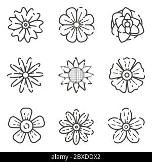 Ensemble vectoriel de fleurs contour des icônes isolées Illustration de Vecteur