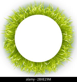 Cadre d'herbe verte succulente. Pelouse 3D naturelle. Préparation des cartes Illustration de Vecteur