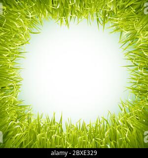 Cadre d'herbe verte succulente. Pelouse 3D naturelle. Préparation des cartes Illustration de Vecteur