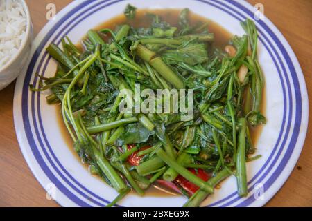 Vue de dessus de 'Pad Pak Boong', un plat traditionnel thaïlandais : légumes 'Morning Glory' sautés (Ipomoea aquatica) servis dans une assiette blanche Banque D'Images