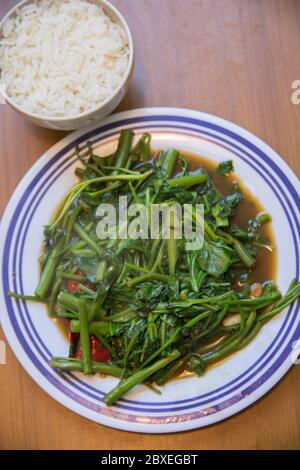 Vue de dessus de 'Pad Pak Boong', un plat traditionnel thaïlandais : légumes 'Morning Glory' sautés (Ipomoea aquatica) servis dans une assiette blanche Banque D'Images