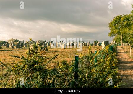 Alignements de Carnac, Menhir de Carnac en Bretagne. France. Banque D'Images