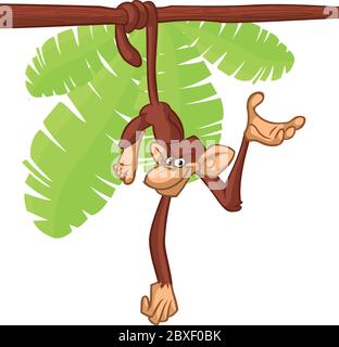 Dessin animé singe Chimpanzee suspendu sur bois branche vecteur Illustration Illustration de Vecteur