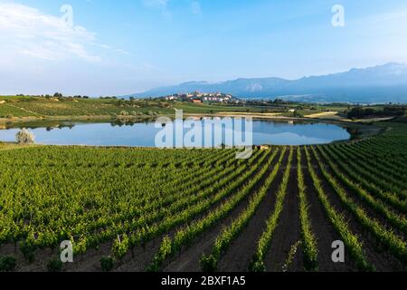Vignoble et lac Carragroño avec la ville de Laguardia comme arrière-plan, Rioja Alavesa, Espagne Banque D'Images