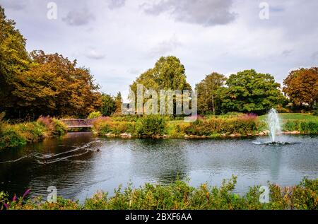 Le lac ornemental dans Bishops Park, au sud de Hammersmith & Fulham, à côté de la Tamise, Londres, Royaume-Uni. Automne 2018. Banque D'Images