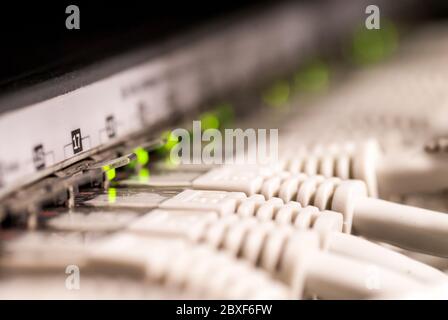 rack réseau avec câbles branchés Banque D'Images