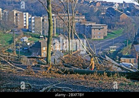 Les séquelles de la « Grande tempête » à Brighton, dans l'est du Sussex, en Angleterre, au Royaume-Uni – elle a eu lieu dans la nuit du 15/16 octobre 1987. Une femme avec deux enfants marche parmi les arbres tombés du parc Hollingbury et des Bois. En arrière-plan, des arbres plus abattus sont visibles le long de la montée de Brentwood Road et sur la colline (arrière gauche). La « Grande tempête » de 1987 était un violent cyclone tropical, avec des vents de force d'ouragan causant des pertes et des dégâts importants au Royaume-Uni et en France. Banque D'Images