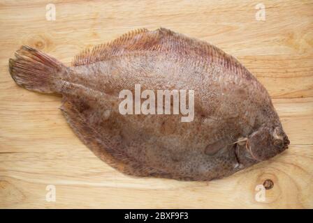 Une sole de citron cru, non cuite, Microstomus kitt, qui a été attrapée dans la Manche présentée sur une planche à découper en bois avant la cuisson. Dorset anglais Banque D'Images