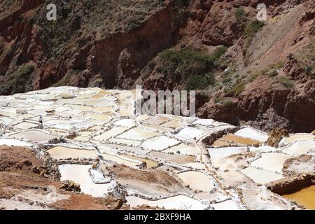 Les appartements de sel Inca de Maras au Pérou Banque D'Images