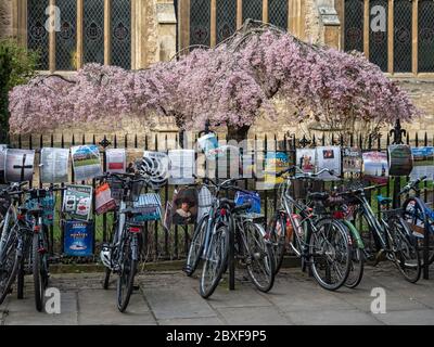 CAMBRIDGE, Royaume-Uni - 11 mars 2020 : vélos enchaînés contre la rampe dans le centre-ville Banque D'Images