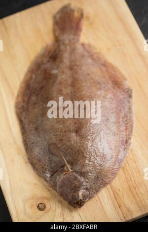 Une sole de citron cru, non cuite, Microstomus kitt, qui a été attrapée dans la Manche présentée sur une planche à découper en bois avant la cuisson. Dorset anglais Banque D'Images