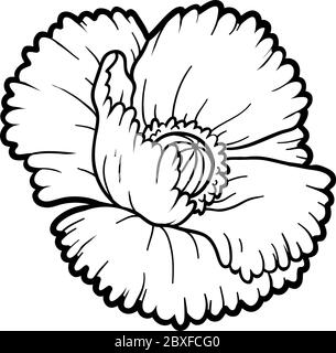 Livre de coloriage pour enfants, coquelicot fleur Illustration de Vecteur