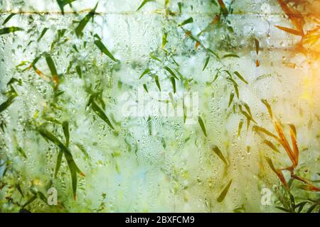 Gouttes d'eau abstraites sur la vitre de la fenêtre Banque D'Images